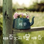 哪壺不開提哪壺 (單曲)試聽