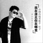我在淮北你在哪里 (單曲)試聽
