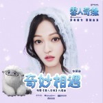 奇妙相遇 (單曲)