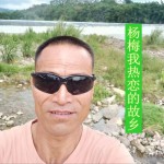 楊梅我熱戀的故鄉 (單曲)試聽