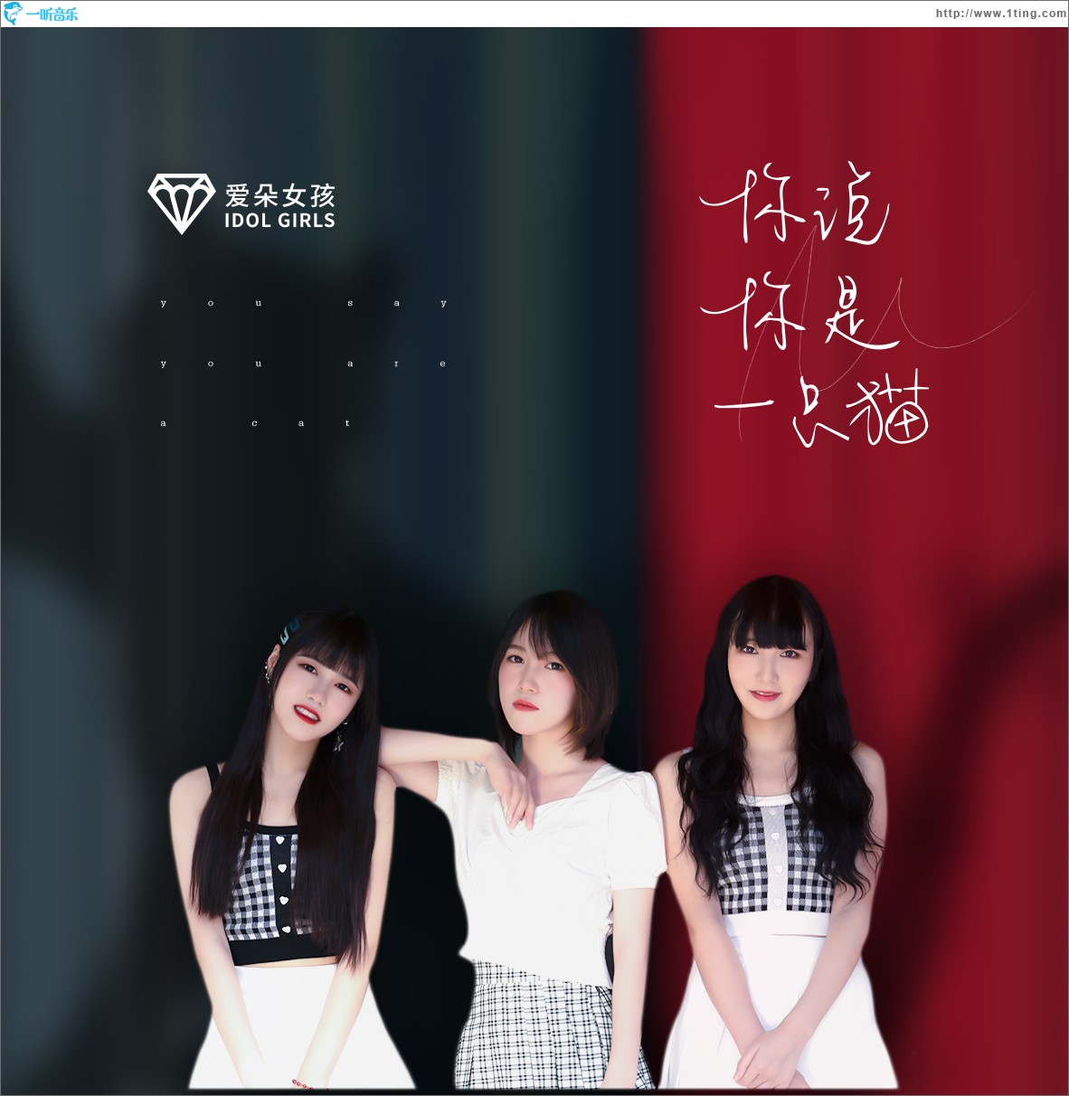 你說你是一只貓（單曲）