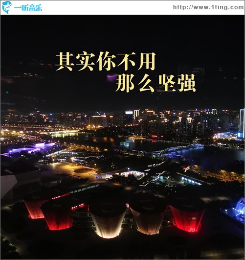其實你不用那么堅強（單曲）