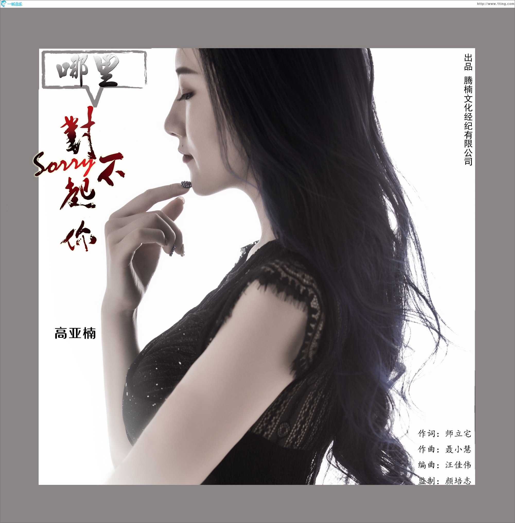 哪里對不起（單曲）