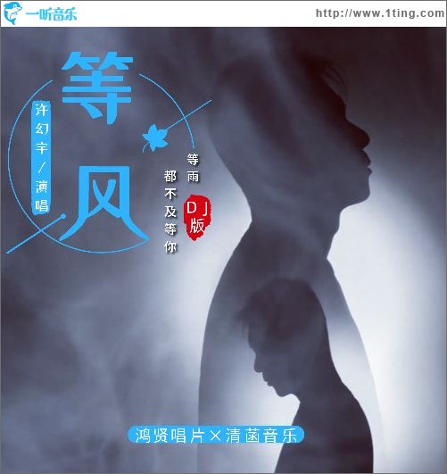 等風等雨都不及等你（DJ版）