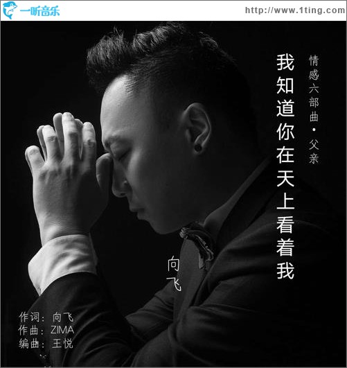我知道你在天上看著我(單曲)