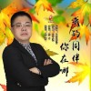 楊樹 我的同伴你在哪 試聽
