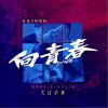 大白小林 向青春（伴奏） 試聽