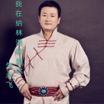我在納林湖等著你（單曲）試聽