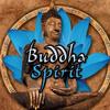 Anael Buddha Spirit Anael And Br... Buddha Spirit 試聽
