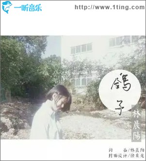 鴿子（單曲）