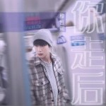 你走后（單曲）詳情