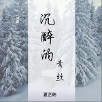 沉醉的青丝(单曲)详情