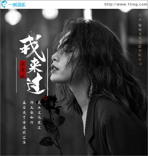 我來過（單曲）