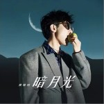 暗月光（單曲）詳情