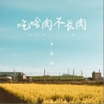 吃啥肉不長肉（單曲）詳情