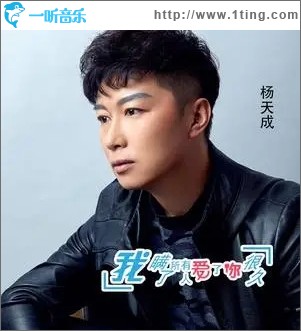 我瞞了所有人愛了你很久（單曲）