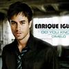 Enrique Iglesias Do You Know (the Ping Pong Song) 試聽