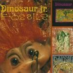 Fossils