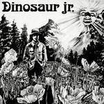 Dinosaur詳情