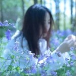野百合也有春天（單曲）詳情