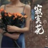 陳瑞 人間寂寞花 試聽