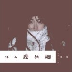 什么牌的煙（單曲）詳情