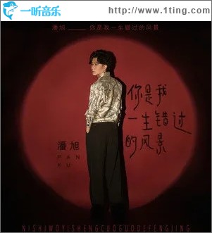 你是我一生錯過的風景（單曲）
