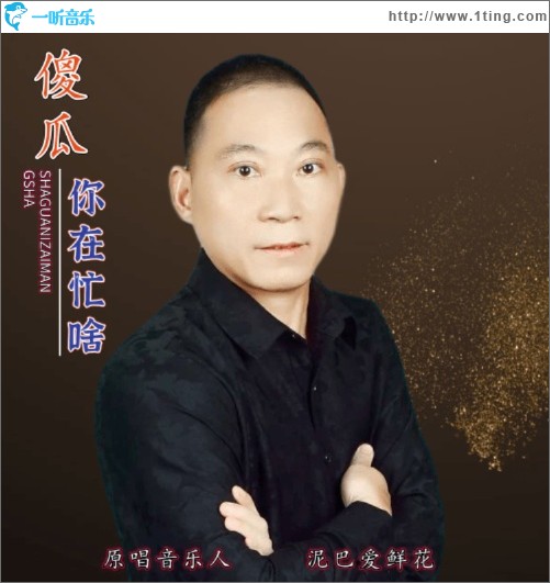 傻瓜你在忙啥（單曲）