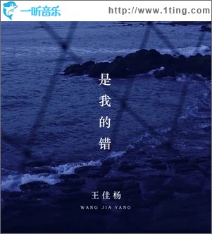 是我的錯（單曲）