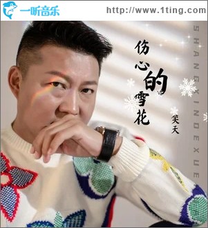 傷心的雪花（單曲）
