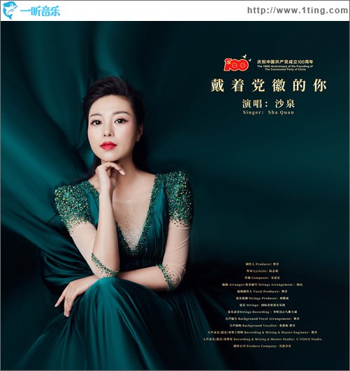戴著黨徽的你（單曲）