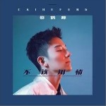 不該用情（單曲）詳情