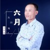 金瑛強 六月的玫瑰 試聽
