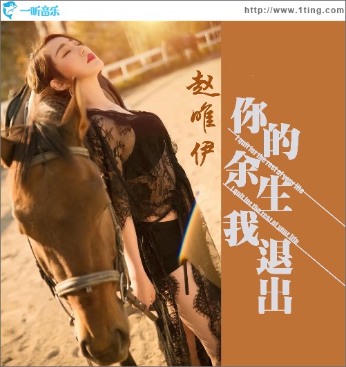 你的余生我退出（單曲）