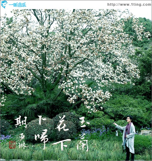 玉蘭花下卜歸期（單曲）