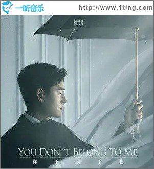 你不屬于我（單曲）