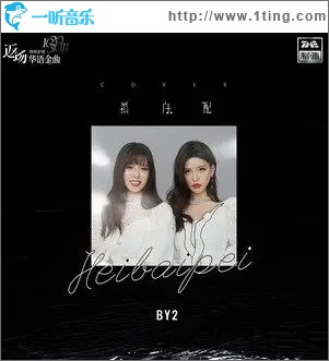 黑白配（單曲）