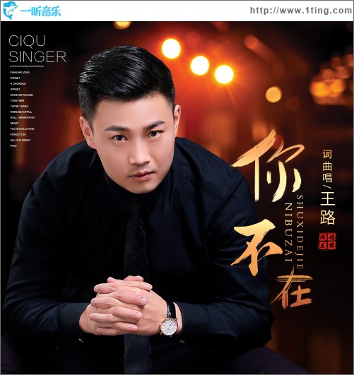 你不在（單曲）