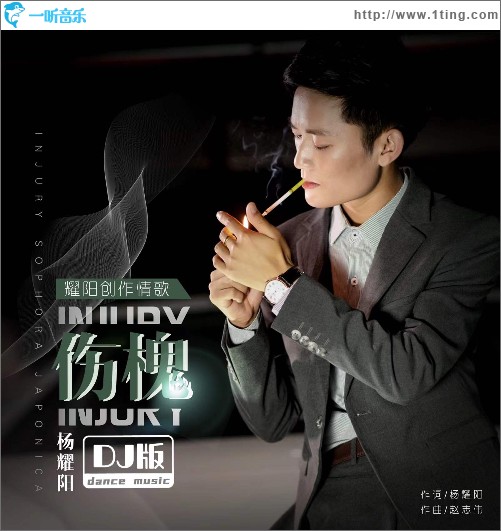 傷槐（DJ版）（單曲）