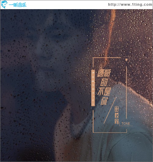 遺憾的不是你（單曲）