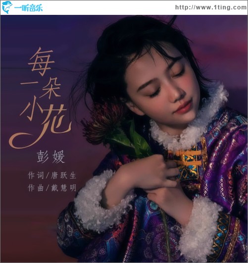 每一朵小花（單曲）