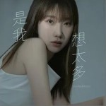 是我想太多（單曲）詳情
