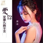 愛你是那么的辛苦（單曲）詳情
