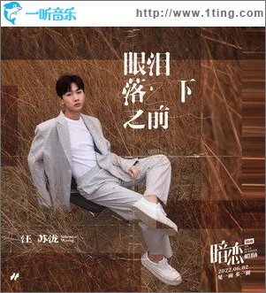 眼淚落下之前（單曲）