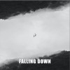 柳李 Atom Panda Falling Down(Original Mix) 試聽