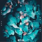 遲暮繁花 （單曲）詳情