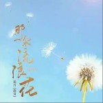 那一朵流浪花 （單曲）詳情
