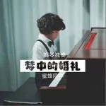 夢中的婚禮 （單曲）詳情