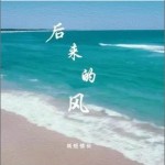 后來的風 （單曲）詳情