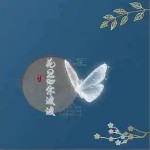 蝶不語 （單曲）詳情